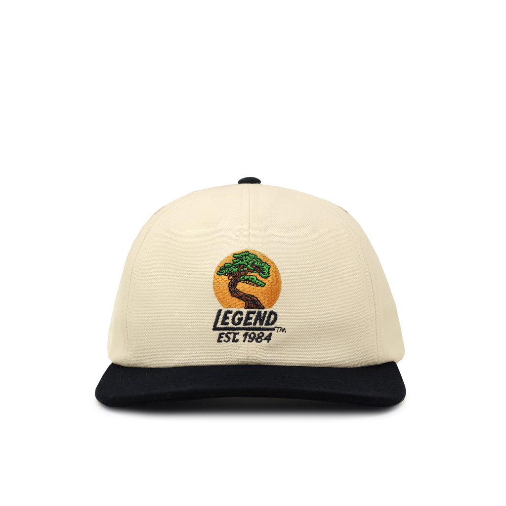 Cotton Cap/Hat by Adams Headwear, Aqua with Orange Logo